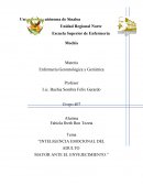 Inteligencia emocional del adulto mayor ante el envejecimiento