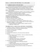 TEMA 2: LA REVOLUCIÓN INDUSTRIAL Y EL CAPITALISMO- LA PRIMERA REVOLUCIÓN INDUSTRIAL