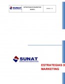 Proyec Estrategia para la Efectividad de la recaudación tributaria: