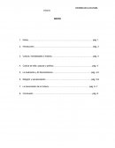 Ensayo historia de la cultura
