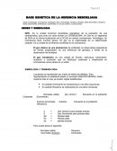 GENETICA BASE GENETICA DE LA HERENCIA MENDELIANA