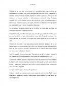 El aborto. Problema social