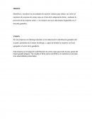 Marketing. MISION. VISION