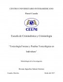 Toxicología forense y pruebas toxicológicas en individuos