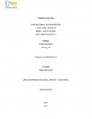 CICLO DE OTTO TRABAJO COLABORATIVO 2.