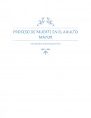 PROCESO DE MUERTE EN EL ADULTO MAYOR ENFERMERÍA GERONTOGERIATRÍA