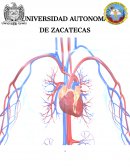 INVESTIGACION SOBRE VALVULOPATIAS POR FIEBRE REUMATICA