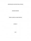 Caso practico MICROECONOMIA