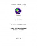 MODELO ECONOMETRICO METODOLOGIA