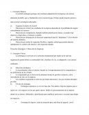 Estrategia Empresarial Conceptos Básicos