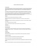 Proyecto de cineclub en la escuela primaria