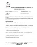 Descripción del cargo. El ingeniero