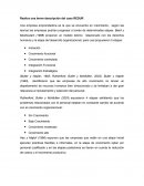 Realice una breve descripción del caso REDUR