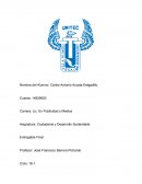 Estructura para una marca Ciudadanía y Desarrollo Sustentable