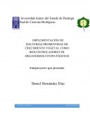 IMPLEMENTACIÓN DE BACTERIAS PROMOTORAS DE CRECIMIENTO VEGETAL COMO BIOCONTROLADORES DE ORGANISMOS FITOPATÓGENOS