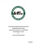 Ensayo Sobre Globalización Y Sustentabilidad