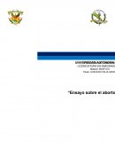 Aborto. Una manera de evitar esta problemática