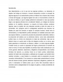 Lagunas legales en la contitucion mexicana y diversos codigos