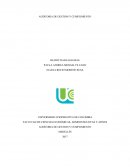 AUDITORIA DE GESTION Y CUMPLIMIENTO