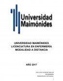 Sistema de salud licenciatura maimones