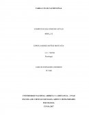 TAREA 3 EVALUACION FINAL COMPETENCIAS COMUNICATIVAS