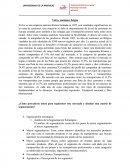 Caso Volvo, camiones belgas