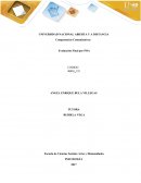 Competencias Comunicativas Evaluación Final por POA