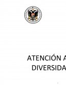 ATENCION A LA DIVERSIDAD DESDE LA EDUCACIÓN FÍSICA.