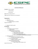 Pasos para la elaboración de un presupuesto