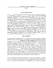 CONTRATO SAS. Página 1