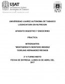 Muchas de las investigaciones científicas son realizadas con animales especiales para la experimentación