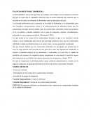 COMO ES QUE SE DA EL PLANTEAMIENTO DEL PROBLEMA
