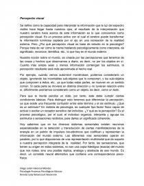 Persepcion visual. Página 1