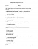 EJERCICIOS DE CONSTRUCCIÓN DE ORACIONES