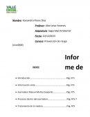 Seguridad Ambiental. INFORMACIÓN DE VISITA