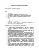 Derecho Procesal Administrativo Lucero Espinosa. – Procesal Administrativo