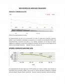 ANALISIS INDICADORES ECONOMICOS CONSOLIDADO