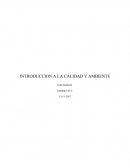INTRODUCCION A LA CALIDAD Y AMBIENTE