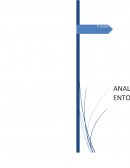 EL PROCESO DE SIGNIFICACIÓN DE LA PRÁCTICA COMO SISTEMA COMPLEJO