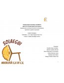 Como se da la Gestión estratégica