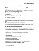 Cuestionario sistemas web