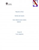 Gano tigres Introducción