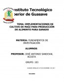 Como se da la Implementacin de cultivos