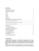 Roles y funciones de los integrantes de la empresa