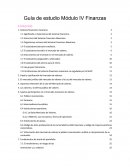 Guia módulo de finanzas IV