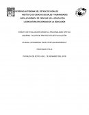 ENSAYO DE EVALUACIÓN DESDE LA RACIONALIDAD CRÍTICA