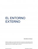 El Entorno Externo