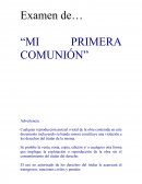 El uso no autorizado de los derechos del titular le acarreará al transgresor, sanciones civiles y penales.