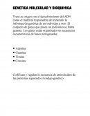 GENETICA MOLECULAR Y BIOQUIMICA