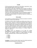 El ADN Y SU FIN DEFINITIVO
